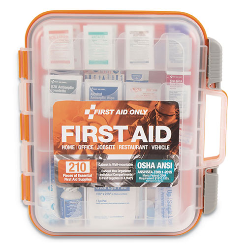 ANSI Class A Bulk First Aid Kit, 210 Pieces, Plastic Case