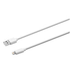 USB Apple Lightning Cable, 6 ft, White