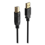 USB Printer Cable, Gold-Plated Connectors, 16 ft, Black