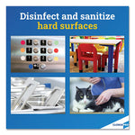 Anywhere Hard Surface Sanitizing Spray, 32 oz Spray Bottle, 12/Carton