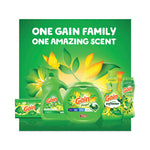 Flings Detergent Pods, Orginal, 81 Pods/Tub