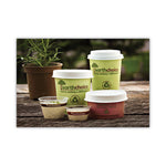 EarthChoice Compostable Soup Cup Large, 16 oz, 3.63" Diameter x 3.88"h, Green, Paper, 500/Carton