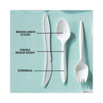 Fieldware Cutlery, Spoon, Mediumweight, White, 1,000/Carton