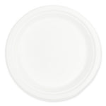 Bagasse PFAS-Free Dinnerware, Plate, 9", White, 500/Carton