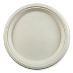 Bagasse PFAS-Free Dinnerware, Plate, 10.27" dia, White, 500/Carton