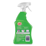 Stain Remover, 22 oz Spray Bottle, 12/Carton