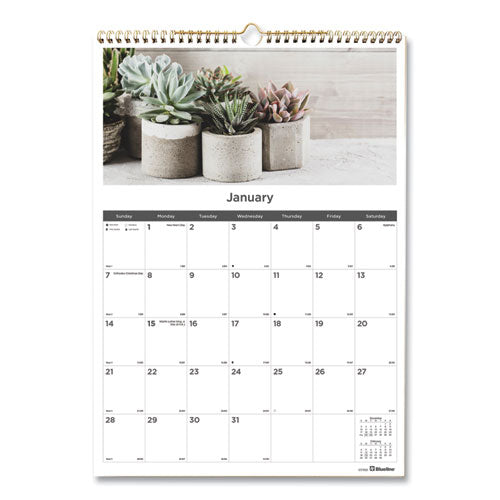 12-Month Wall Calendar, Succulent Plants Photography, 12 x 17, White/Multicolor Sheets, 12-Month (Jan to Dec): 2024