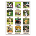 Puppies Monthly Desk Pad Calendar, Puppies Photography, 22 x 17, White Sheets, Clear Corners, 12-Month (Jan to Dec): 2024