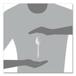 Regal Mediumweight Cutlery, Full-Size, Teaspoon, White, 1000/Carton