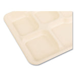 Bagasse PFAS-Free Food Tray, 5-Compartment, 8.26 x 0.98 x 10.9, Tan, Bamboo/Sugarcane, 500/Carton