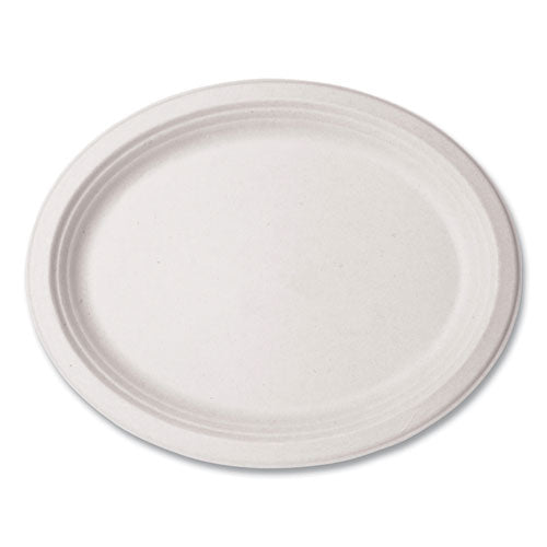 Molded Fiber Tableware, Platter, 7 x 10 x 1, White, 500/Carton