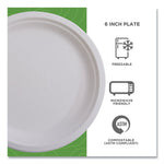 Vanguard Renewable and Compostable Sugarcane Plates, 6" dia, White, 1,000/Carton