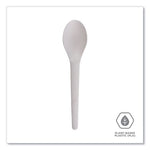 Plantware Compostable Cutlery, Spoon, 6", Pearl White, 50/Pack, 20 Pack/Carton