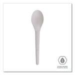 Plantware Compostable Cutlery, Spoon, 6", White, 1,000/Carton