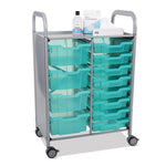 Callero Plus Shield Double Trolley Set 18, Antimicrobial, Metal, 8 F1 Bins, 4 F2 Bins, 27.4 x 17.3 x 41.5, Silver/Trans Kiwi