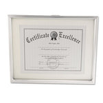 Plastic Document Frame with Mat, 11 x 14 and 8.5 x 11 Inserts, Metallic Silver