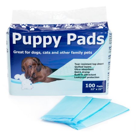 Disposable Underpad for Pets Cypress 22 X 22 Inch Heavy Absorbency